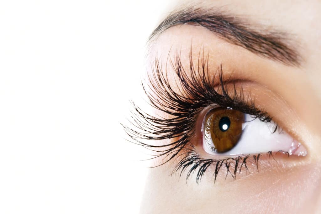 Close up of Woman's eye, brown eyes